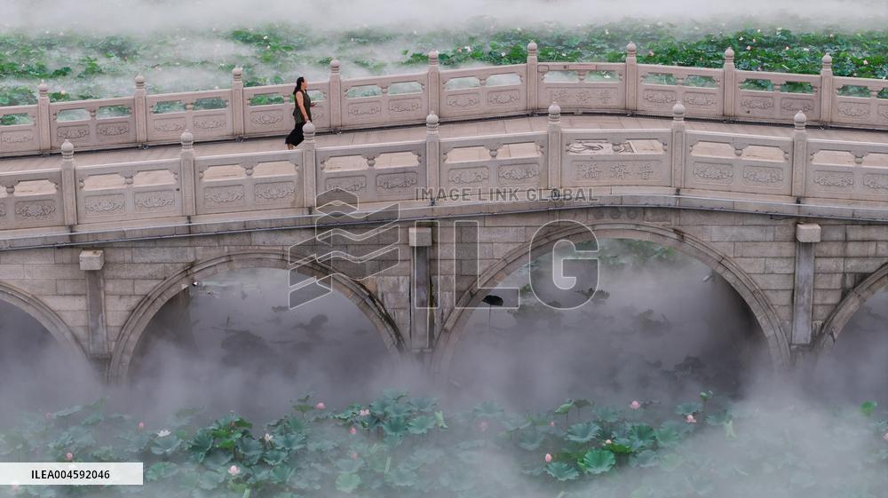 Lotus Pond Cooling System in Suzhou