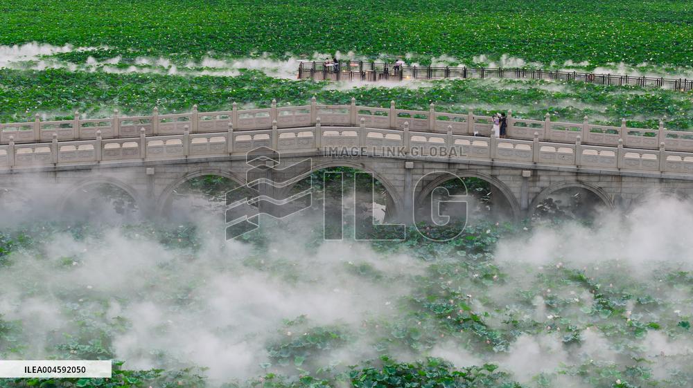 Lotus Pond Cooling System in Suzhou