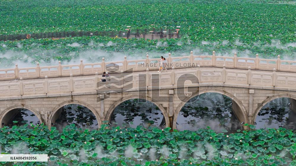 Lotus Pond Cooling System in Suzhou