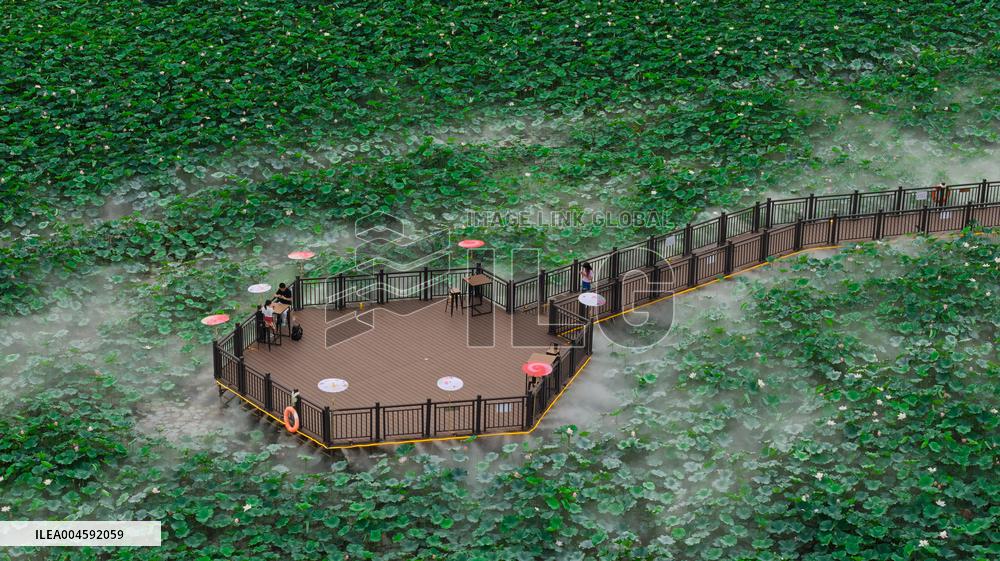 Lotus Pond Cooling System in Suzhou