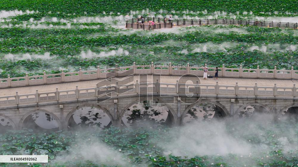 Lotus Pond Cooling System in Suzhou