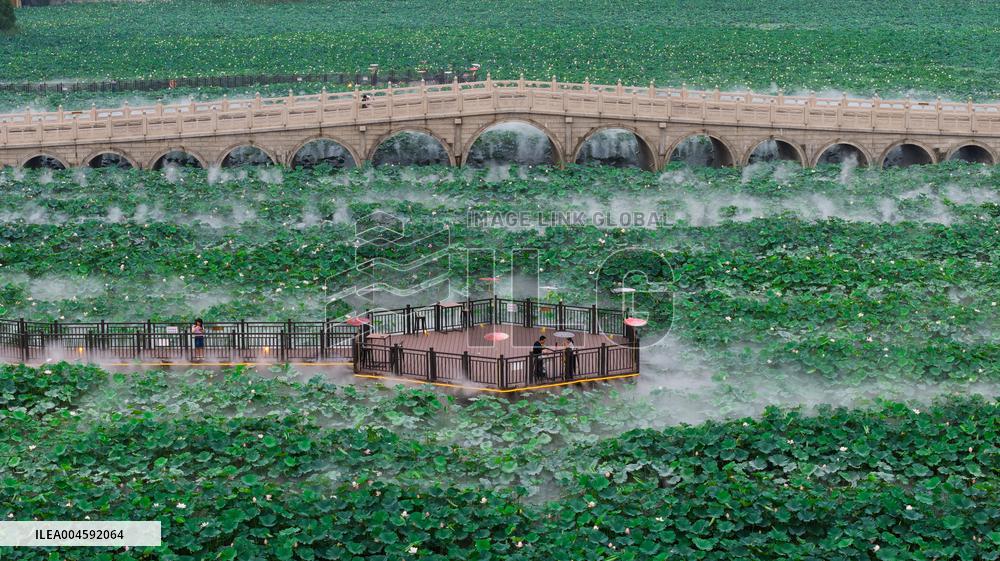 Lotus Pond Cooling System in Suzhou