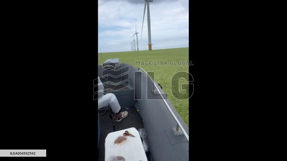 China: Vast Algae Blanket Covers Yantai’s Coastline