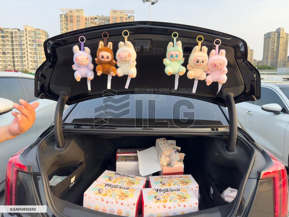 POP MART LABUBU Dolls