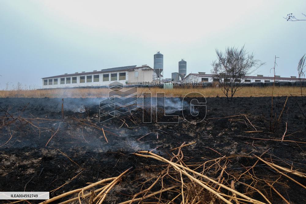Fire Stabilized After Affecting 70 Hectares in Lalin - Spain