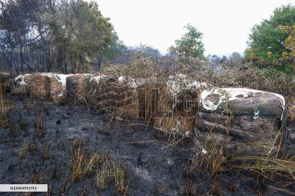 Fire Stabilized After Affecting 70 Hectares in Lalin - Spain
