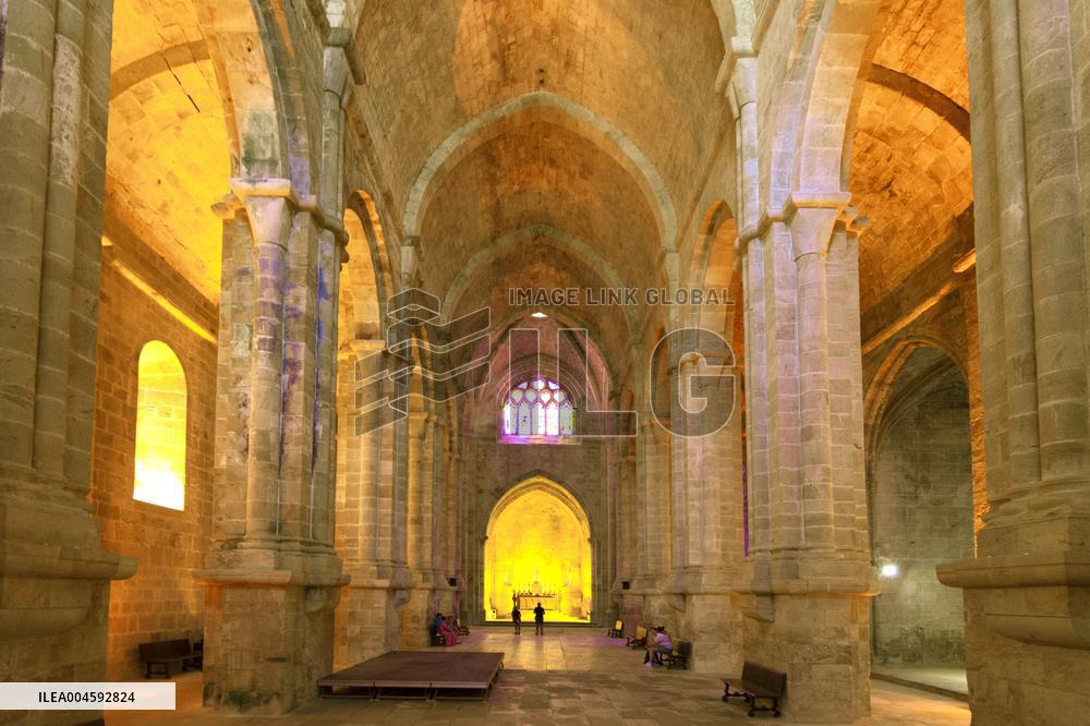 Illustration - Cathares