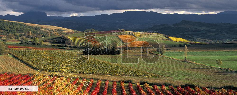 Illustration - Cathares