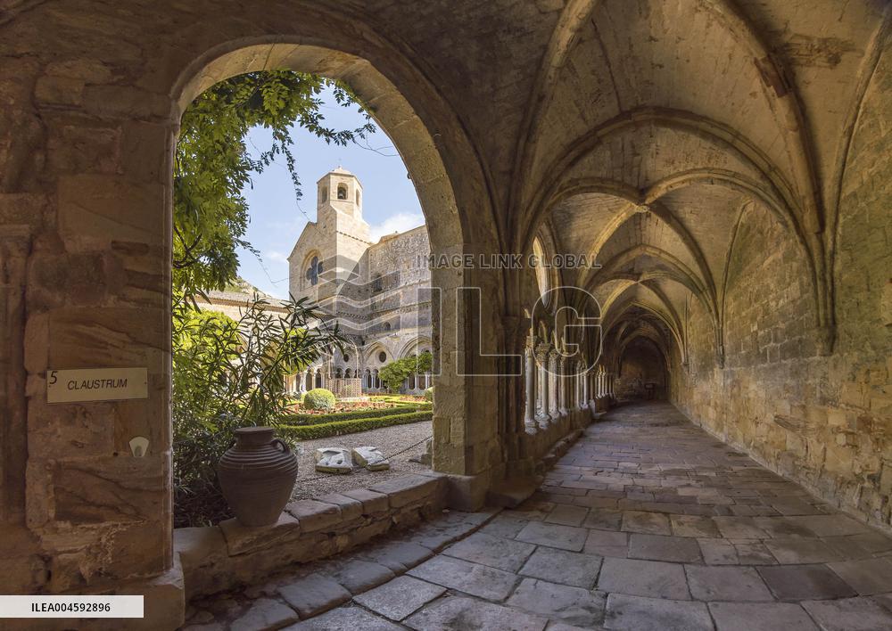 Illustration - Cathares