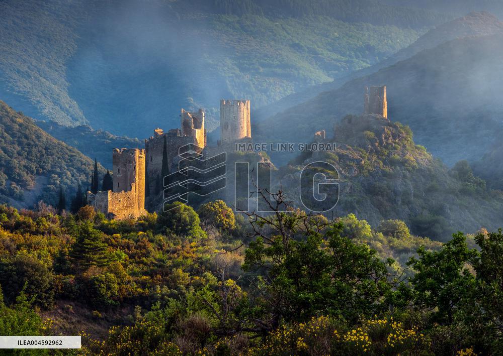 Illustration - Cathares