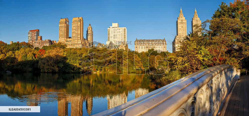 Illustration - New York City - NYC