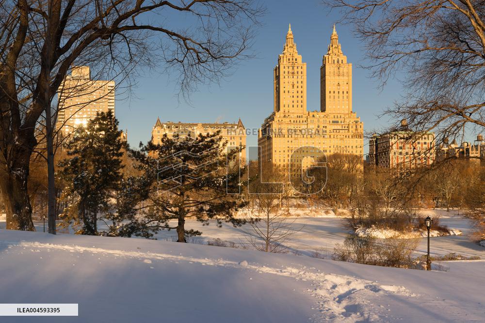 Illustration - New York City - NYC