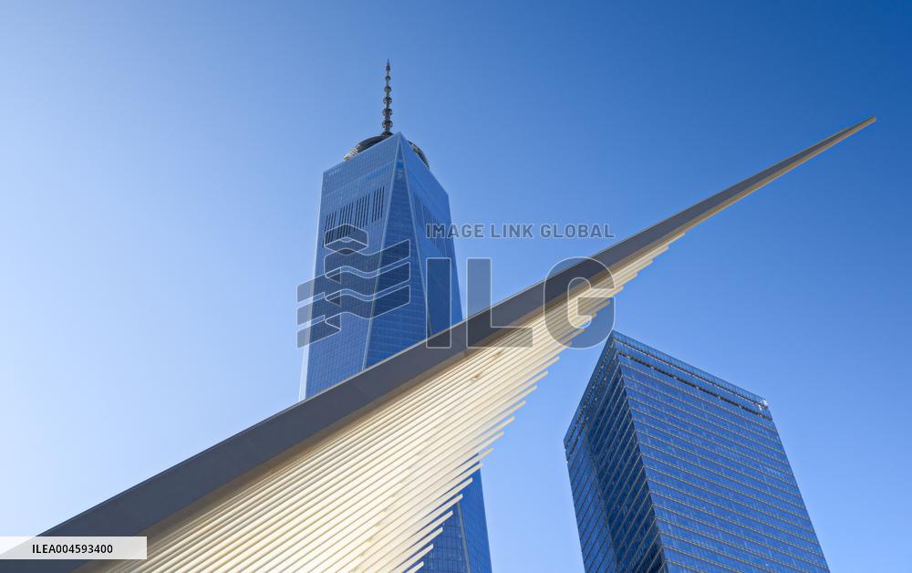 Illustration - New York City - NYC