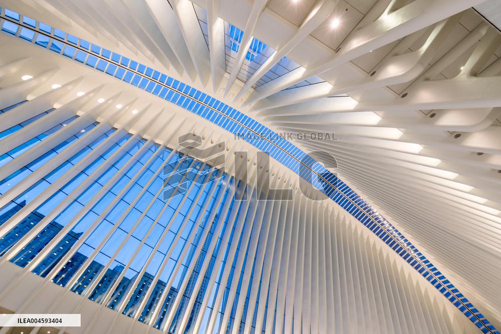 Illustration - New York City - NYC