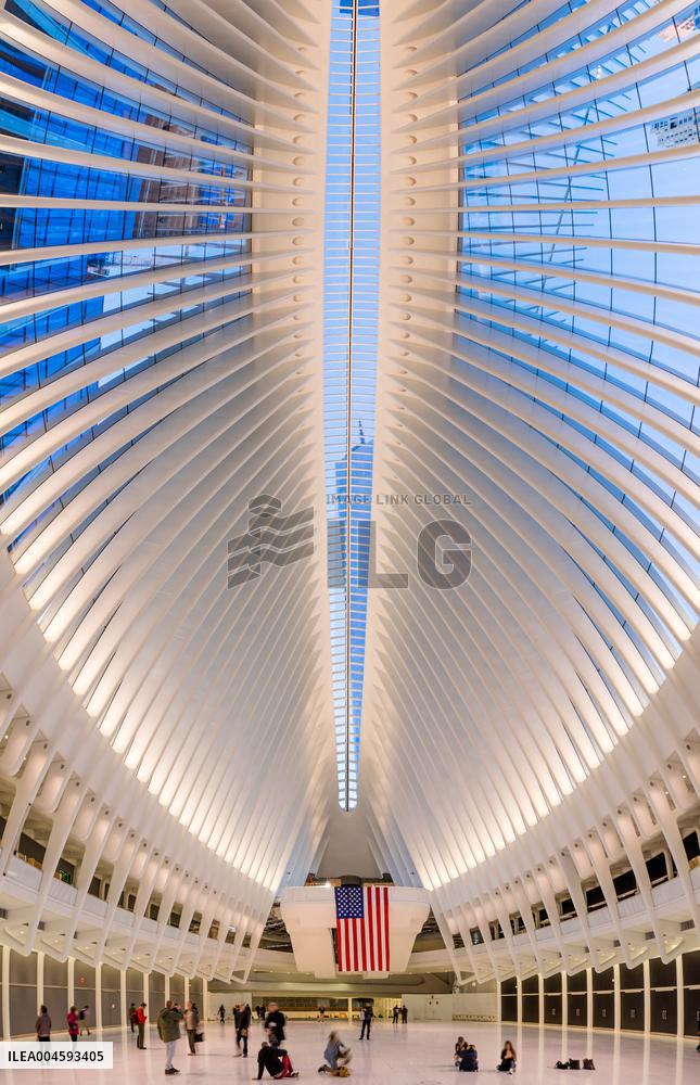 Illustration - New York City - NYC