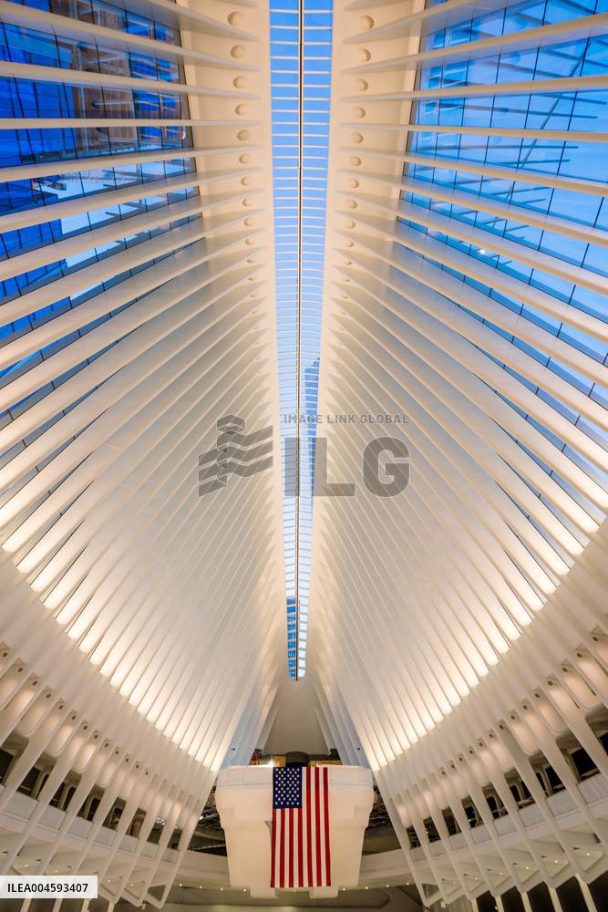 Illustration - New York City - NYC