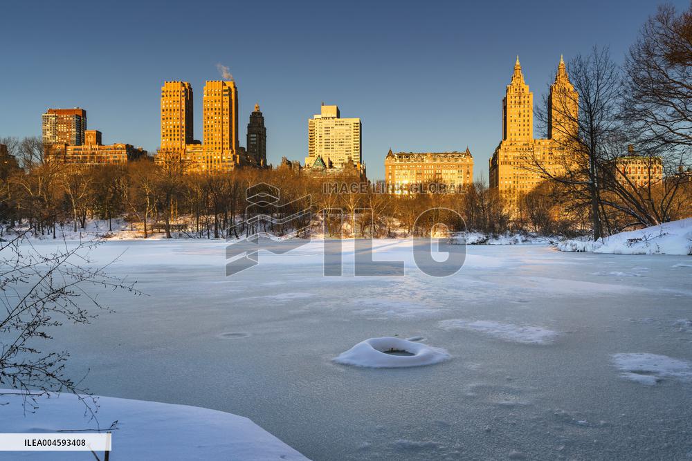 Illustration - New York City - NYC