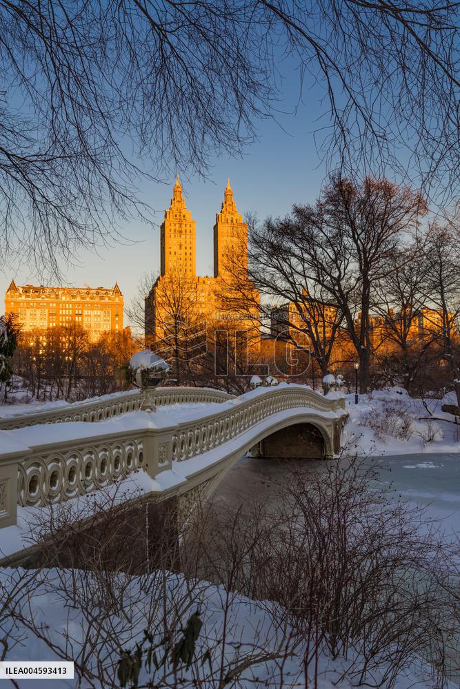 Illustration - New York City - NYC