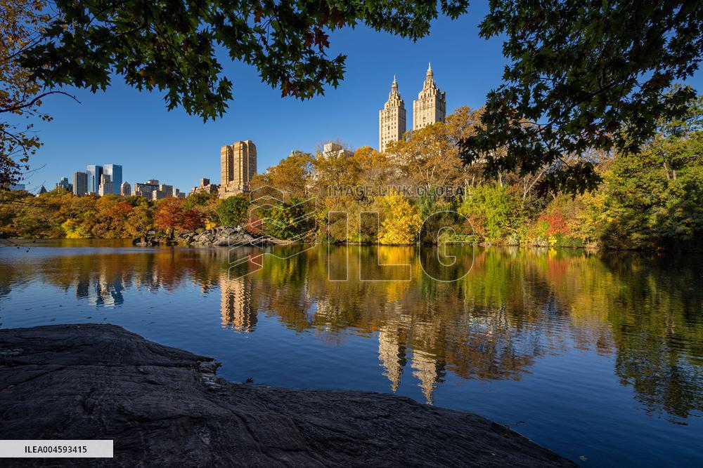 Illustration - New York City - NYC