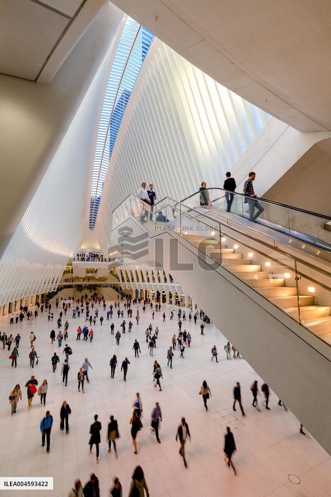 Illustration - New York City - NYC