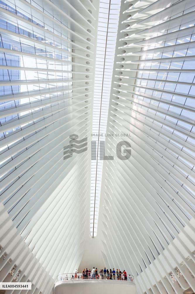 Illustration - New York City - NYC