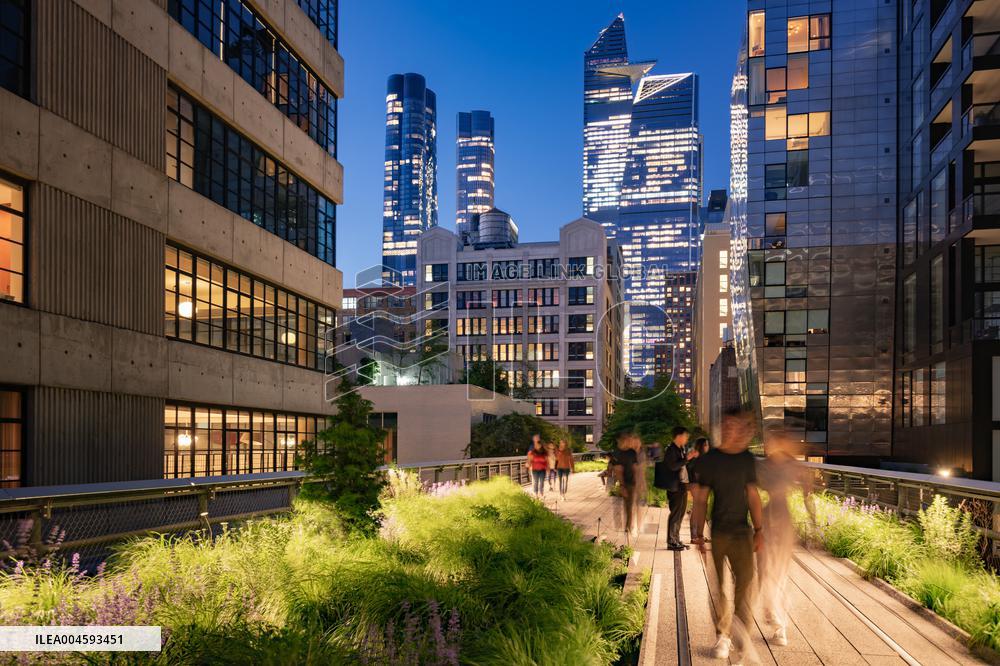 Illustration - New York City - NYC