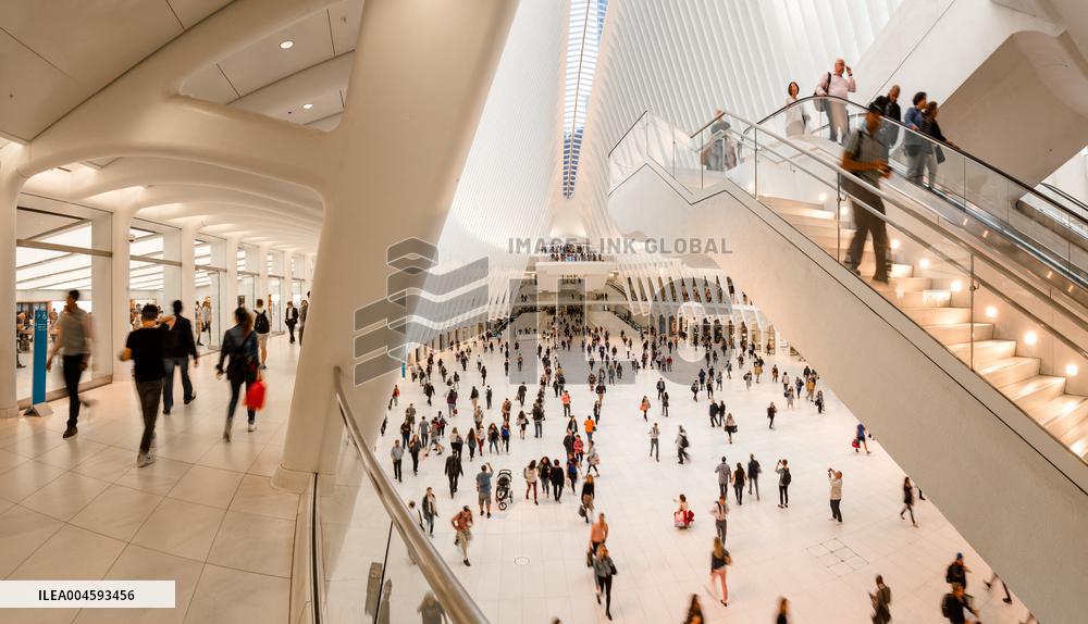 Illustration - New York City - NYC