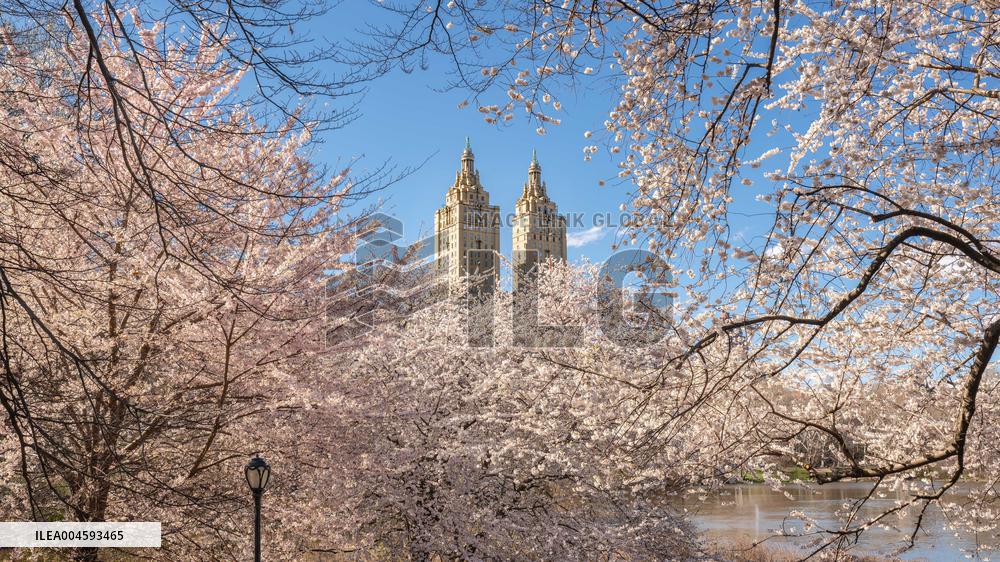 Illustration - New York City - NYC