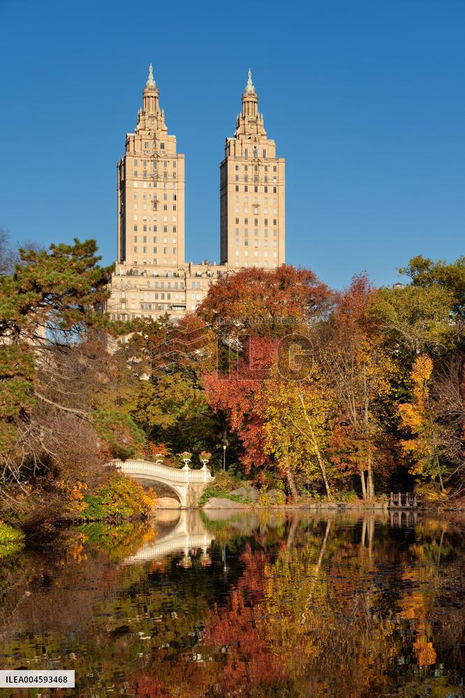 Illustration - New York City - NYC