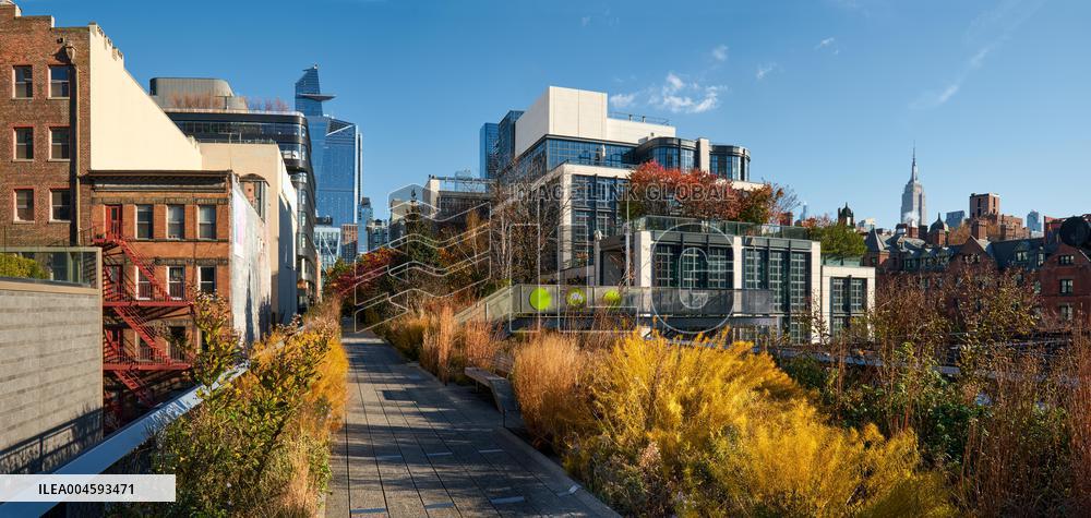 Illustration - New York City - NYC