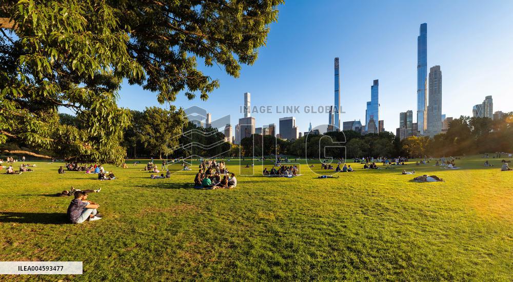 Illustration - New York City - NYC