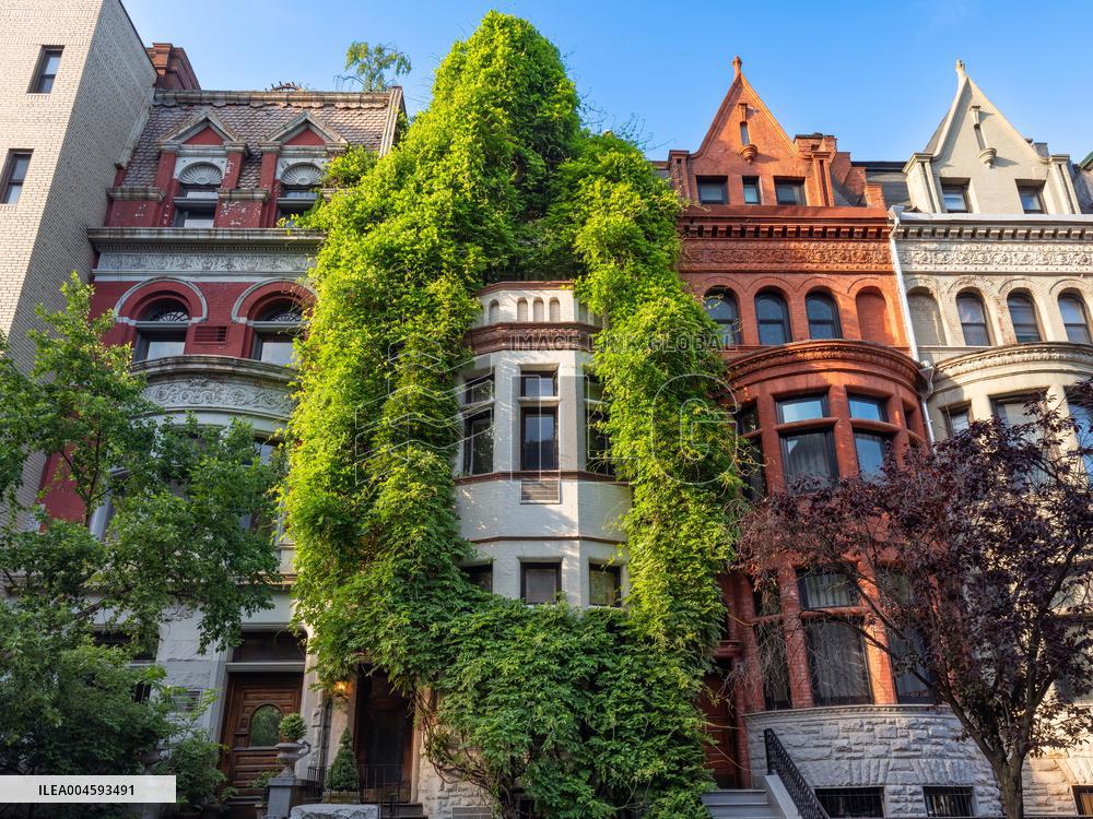 Illustration - New York City - NYC