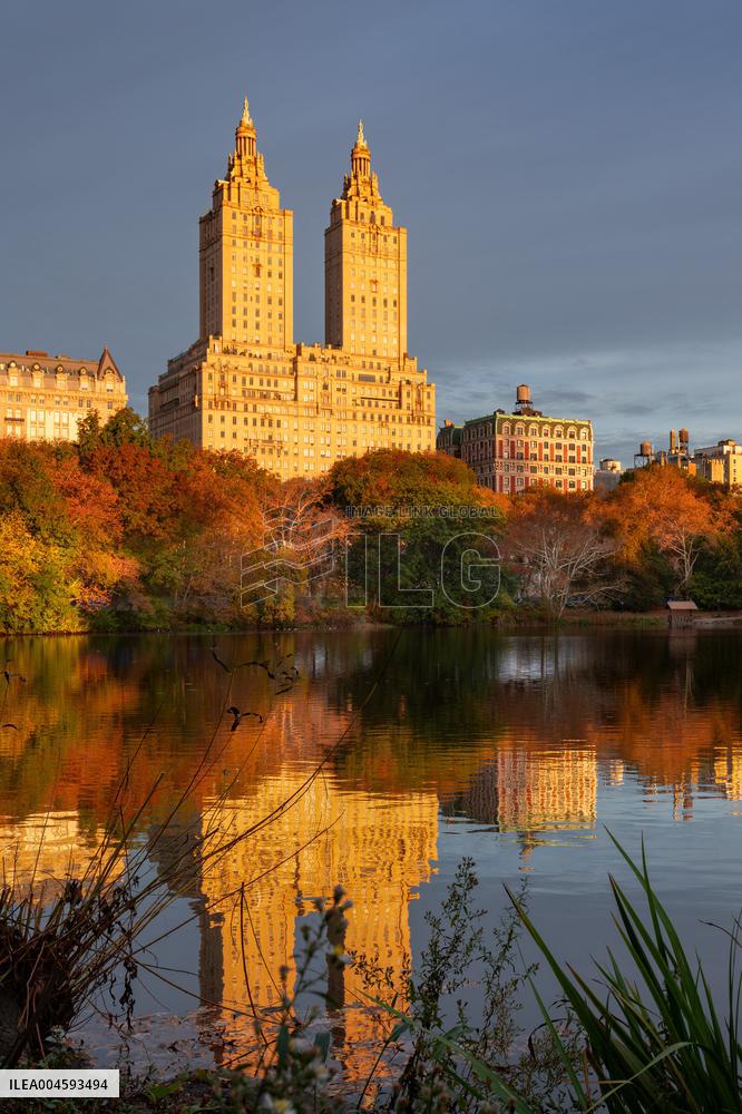 Illustration - New York City - NYC