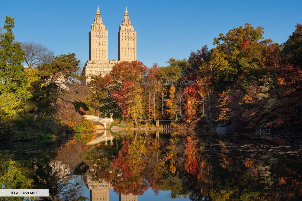 Illustration - New York City - NYC