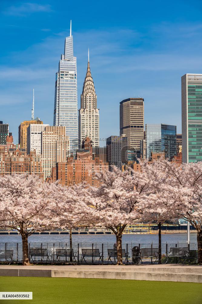 Illustration - New York City - NYC