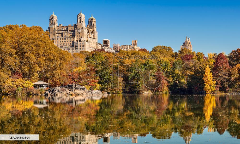 Illustration - New York City - NYC