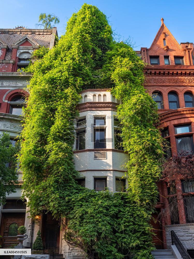 Illustration - New York City - NYC