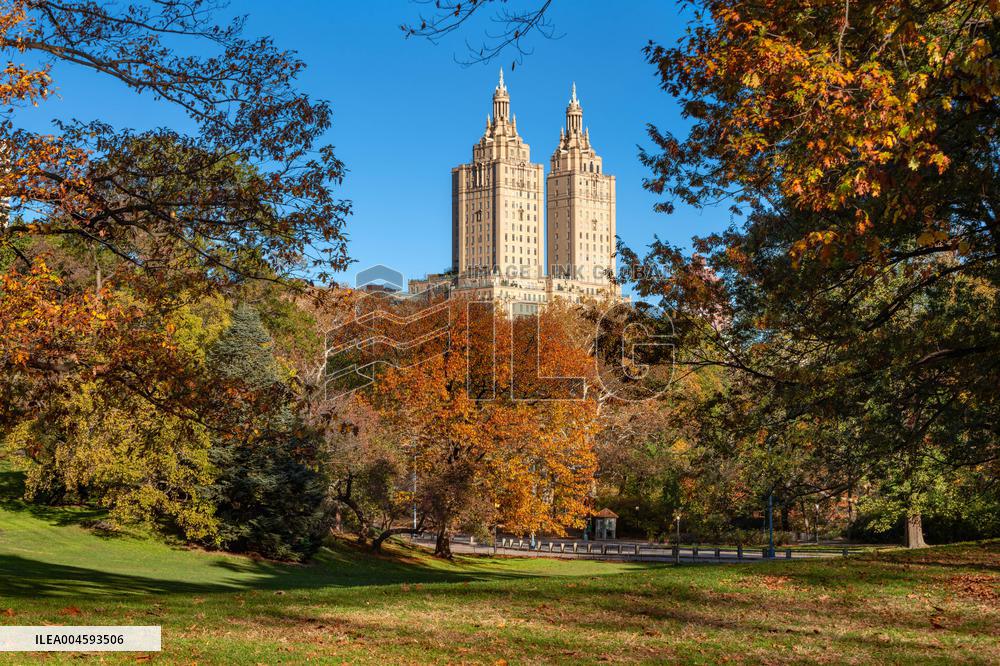 Illustration - New York City - NYC