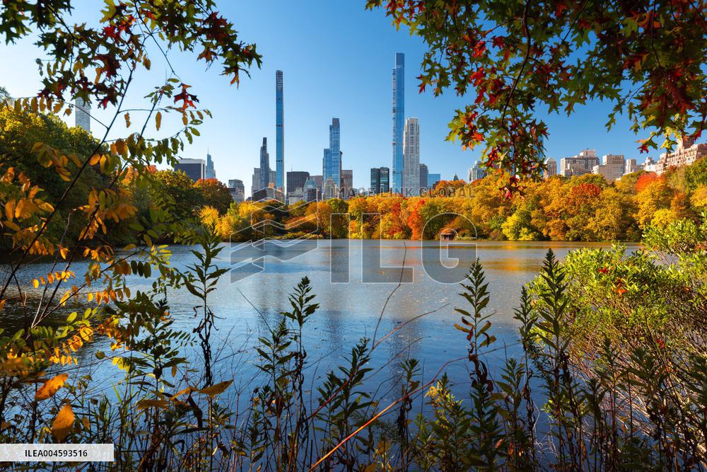 Illustration - New York City - NYC