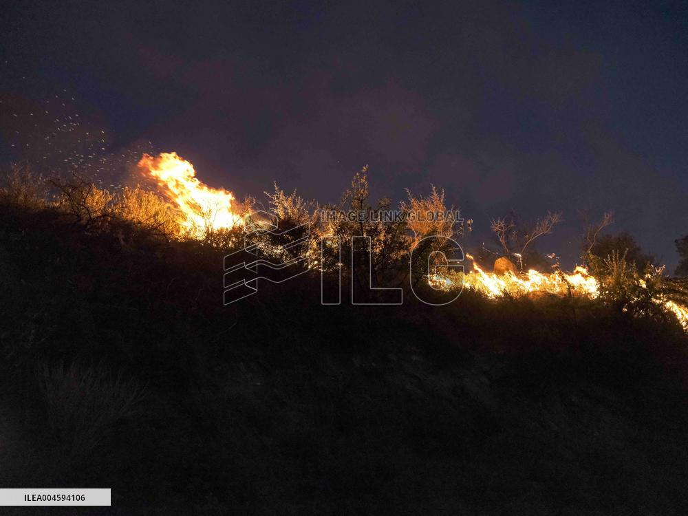 Israeli Druze Cross into Syria After Reported Massacre - Israel