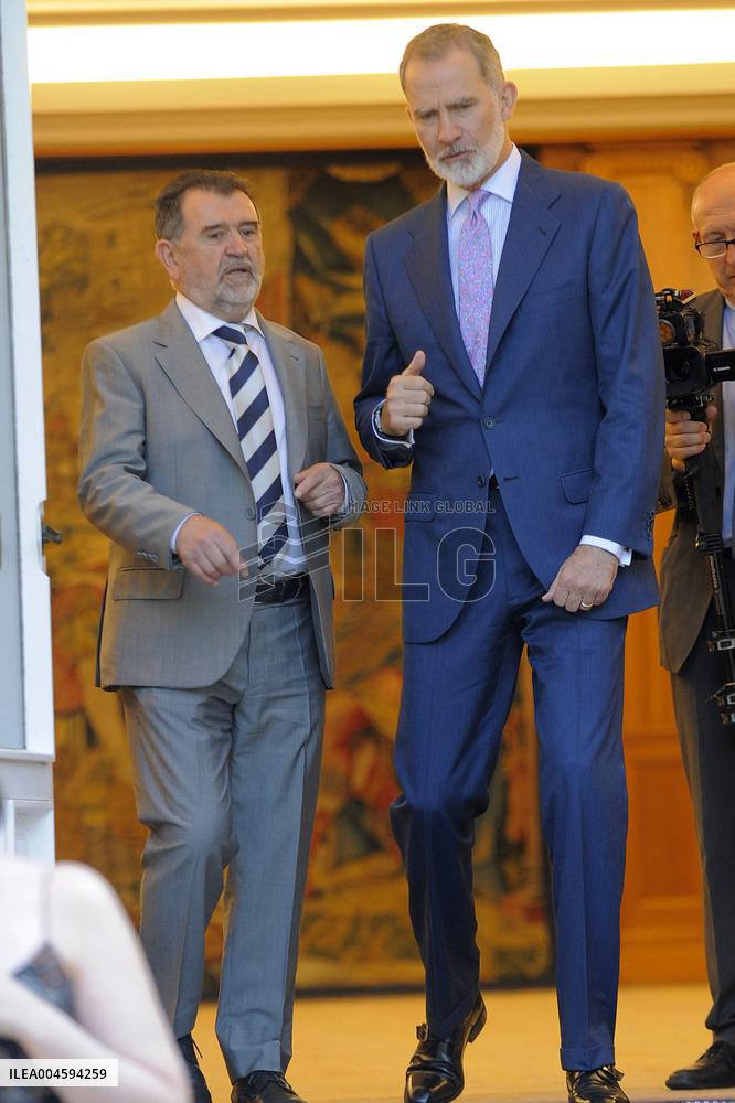 King Felipe Receives In Audience - Madrid