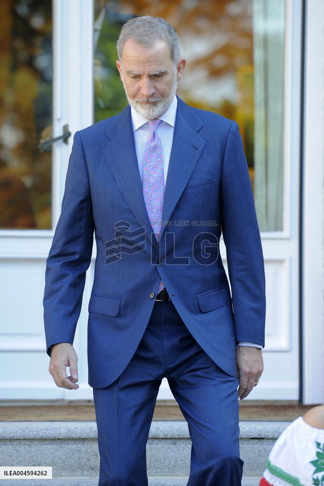 King Felipe Receives In Audience - Madrid