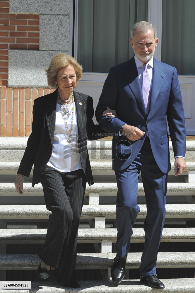 King Felipe And Queen Sofia Receives In Audience - Madrid