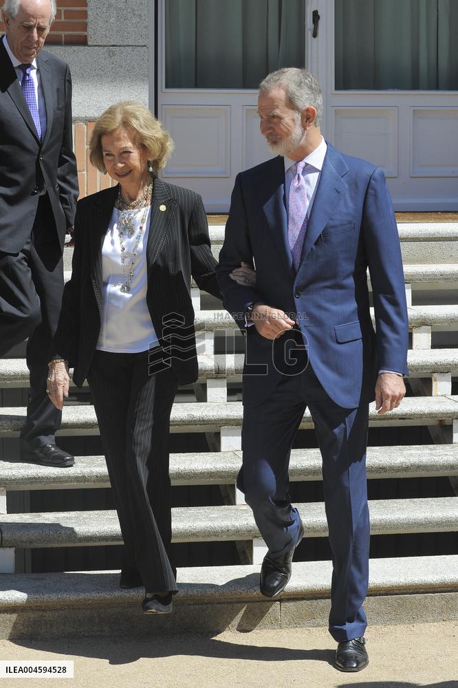 King Felipe And Queen Sofia Receives In Audience - Madrid