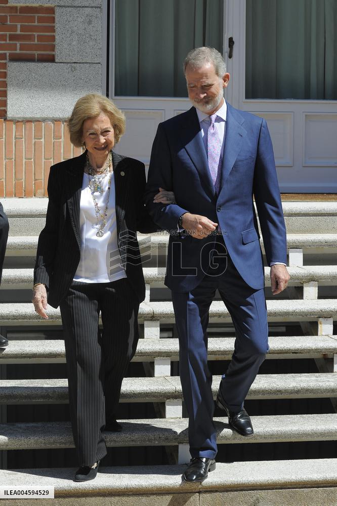 King Felipe And Queen Sofia Receives In Audience - Madrid