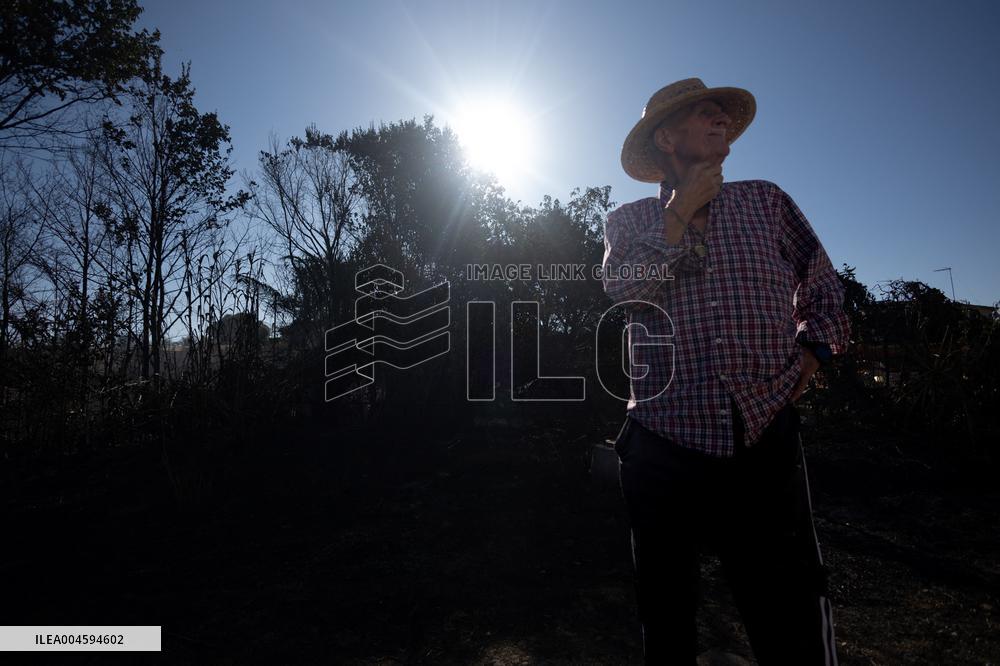 Fire in Mentrida Contained After Burning 3,100 Hectares - Spain