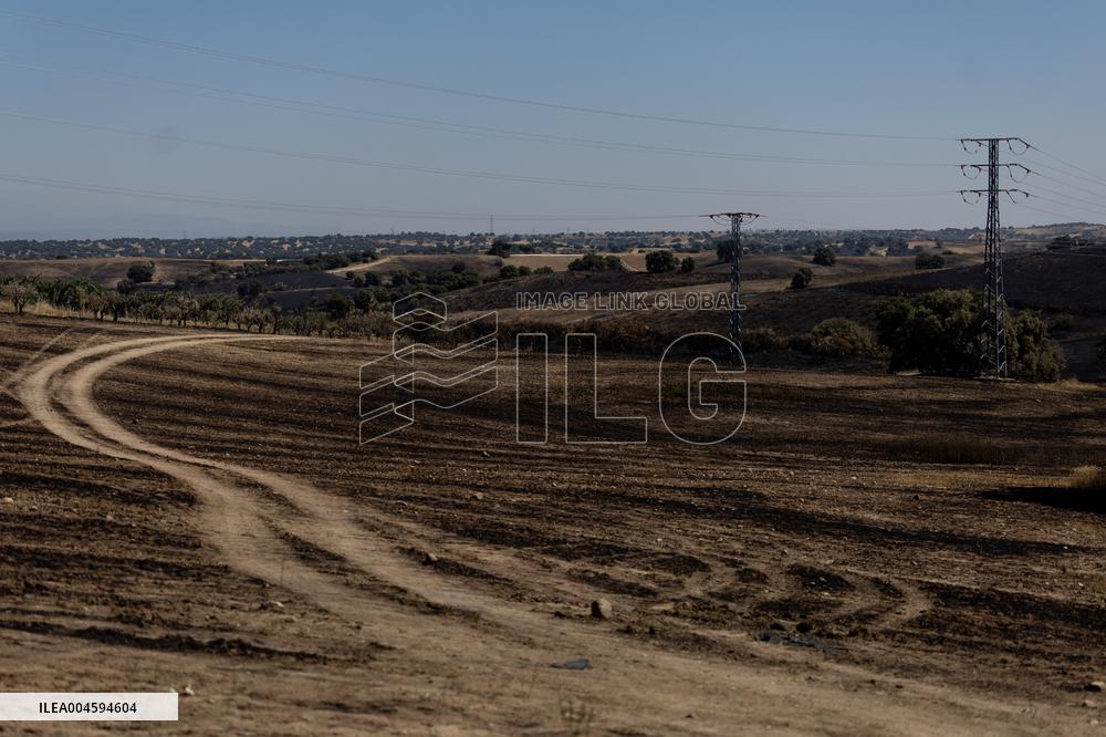 Fire in Mentrida Contained After Burning 3,100 Hectares - Spain