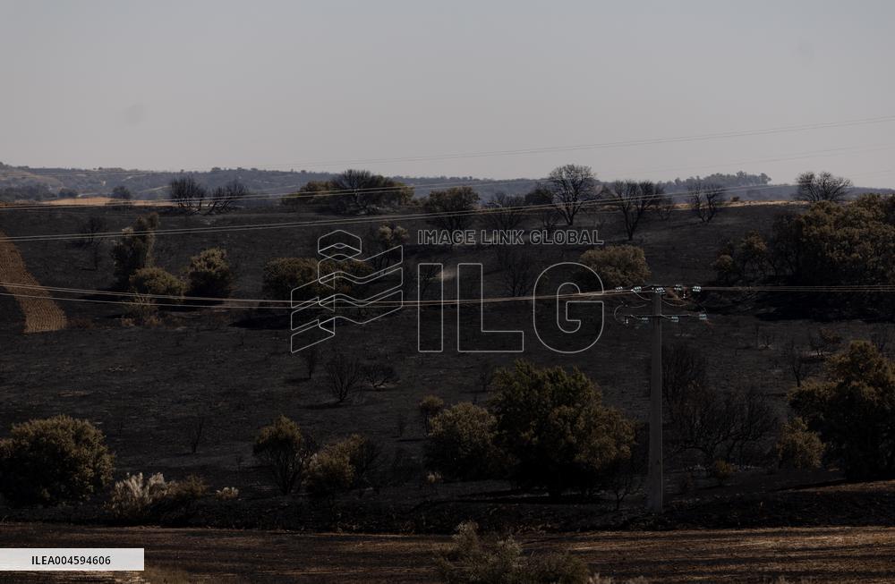 Fire in Mentrida Contained After Burning 3,100 Hectares - Spain
