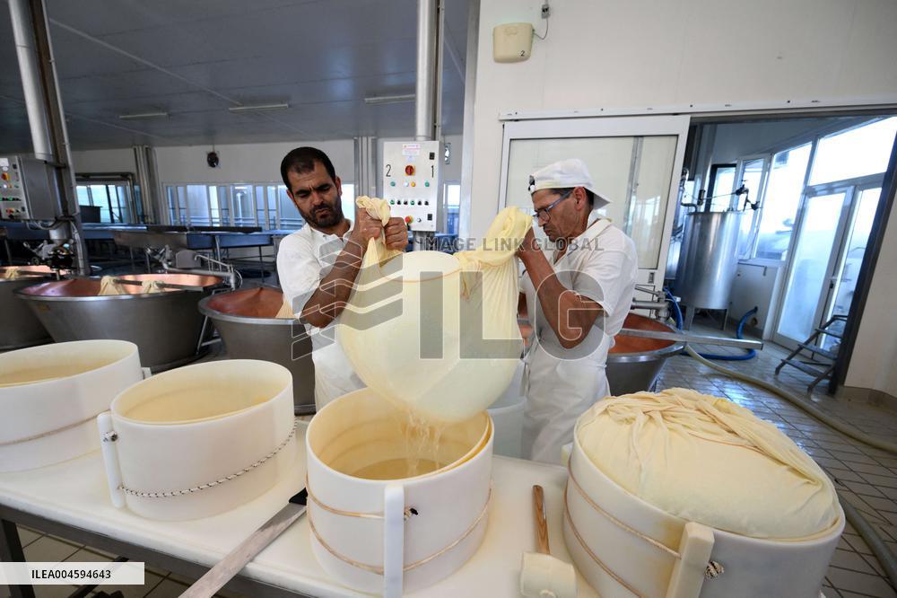 Parmigiano Reggiano from Parma - Italy