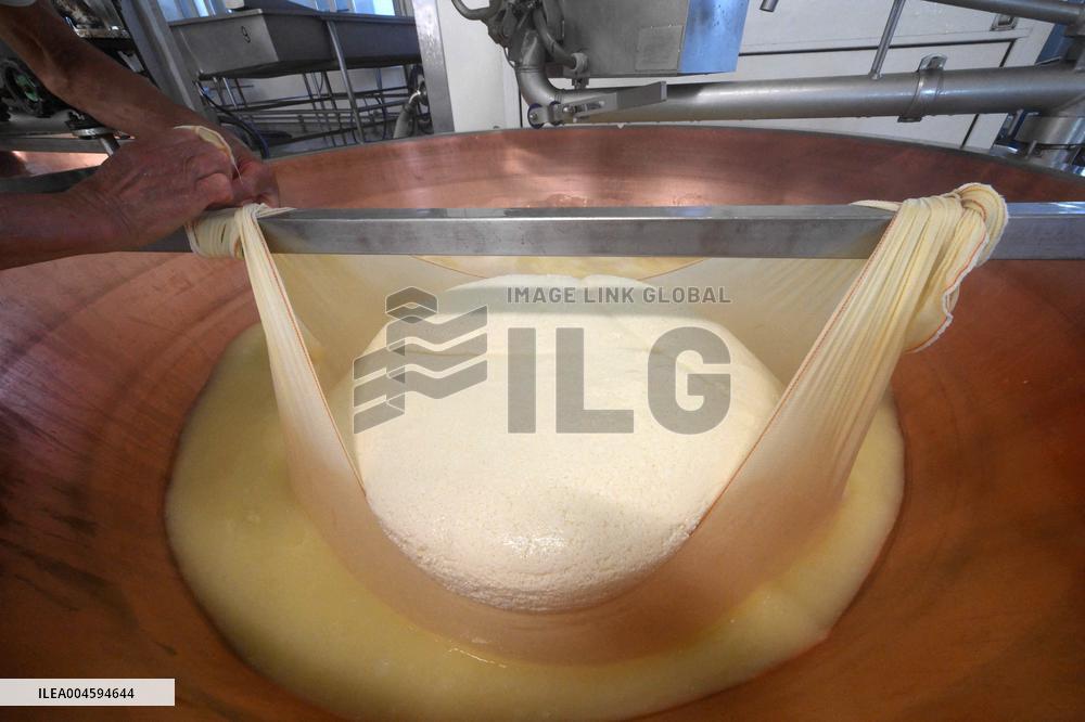 Parmigiano Reggiano from Parma - Italy